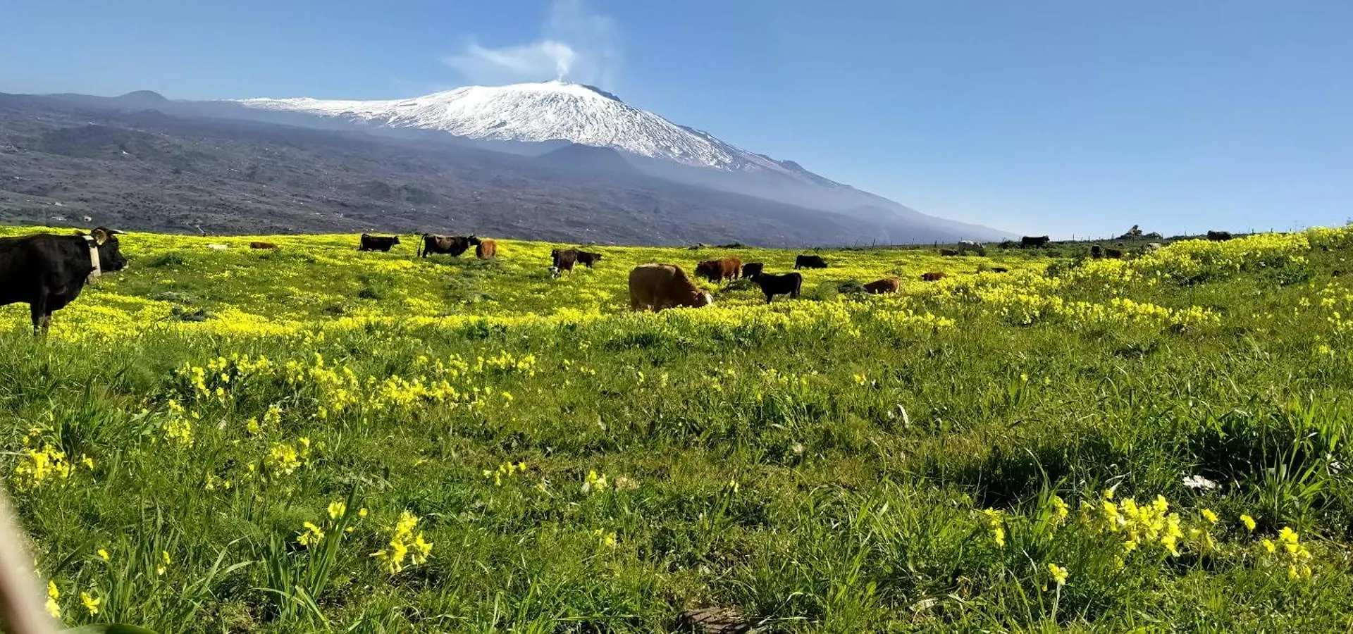 Casa Montegrappa - Tra Etna E Mare Parcheggio Gratuito Zafferana Etnea